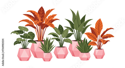 Indoor Plants in Pink Pots - A Colorful Collection.