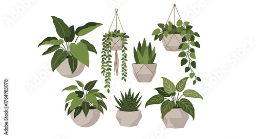 Collection of Potted Houseplants for Home Decor.