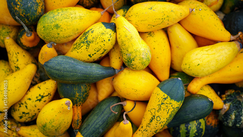 Tableau sur toile Natural assortment of green and yellow gourds with smooth and speckled surfaces,