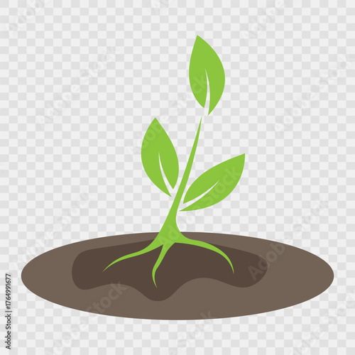 A sprout with green leaves and roots grows from the ground on a transparent background.