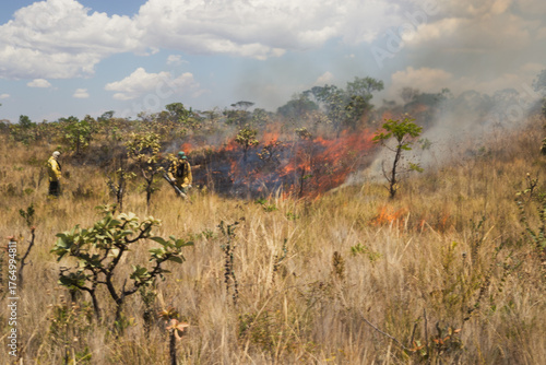 Integrated fire management or prescribed burning in the Brazilian Cerrado. Burning vegetation to protect against fire. Firefighters managing fire in a natural park.