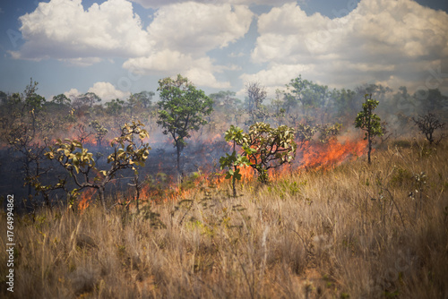 Integrated fire management or prescribed burning in the Brazilian Cerrado. Burning vegetation to protect against fire. Firefighters managing fire in a natural park.