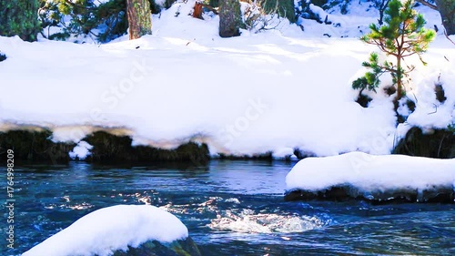 Vidéo plan fixe de l’eau qui court dans la rivière Têt avec de la neige dans les Pyrénées françaises
amidst forests, fir trees, rocks and tree trunks
