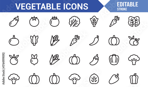 Organic Farm Vegetable Icons — Outline Vector Set for Natural and Eco Food Design
