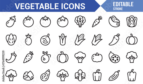 Organic Vegetables Icon Pack — Line Art Vector Illustrations of Healthy Food Ingredients