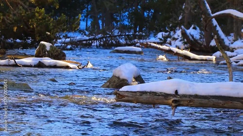 Vidéo plan fixe de l’eau qui court dans la rivière Têt avec de la neige dans les Pyrénées françaises
amidst forests, fir trees, rocks and tree trunks
