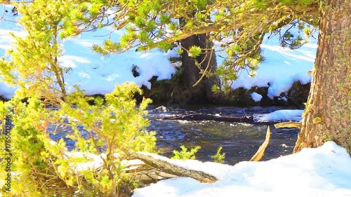 Vidéo plan fixe de l’eau qui court dans la rivière Têt avec de la neige dans les Pyrénées françaises
amidst forests, fir trees, rocks and tree trunks
