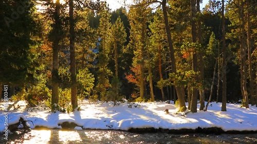 Vidéo plan fixe de l’eau qui court dans la rivière Têt avec de la neige dans les Pyrénées françaises
amidst forests, fir trees, rocks and tree trunks
