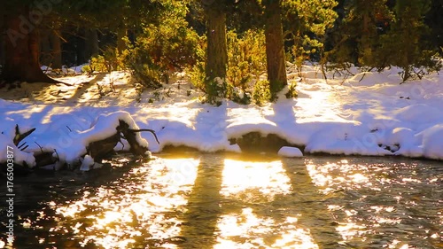Vidéo plan fixe de l’eau qui court dans la rivière Têt avec de la neige dans les Pyrénées françaises
amidst forests, fir trees, rocks and tree trunks
