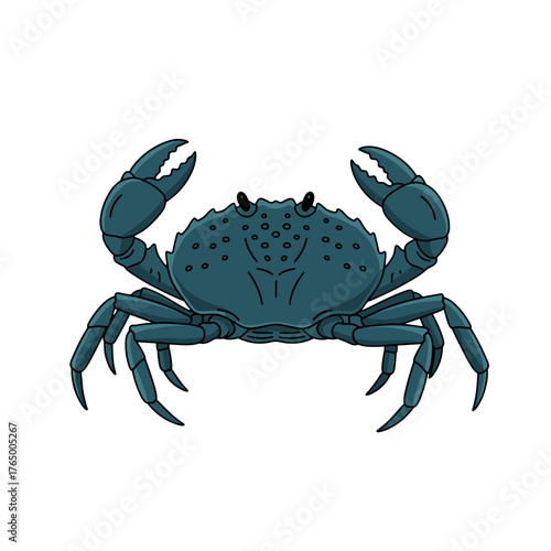 Blue Crab