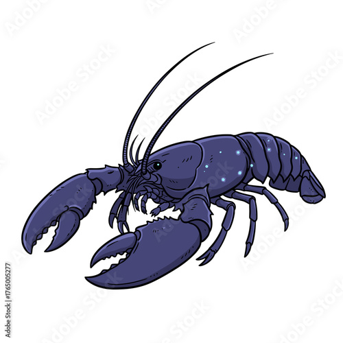 Blue Lobster