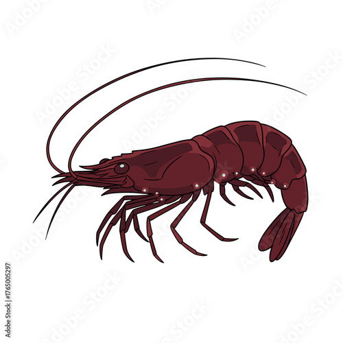 Deep Sea Crayfish