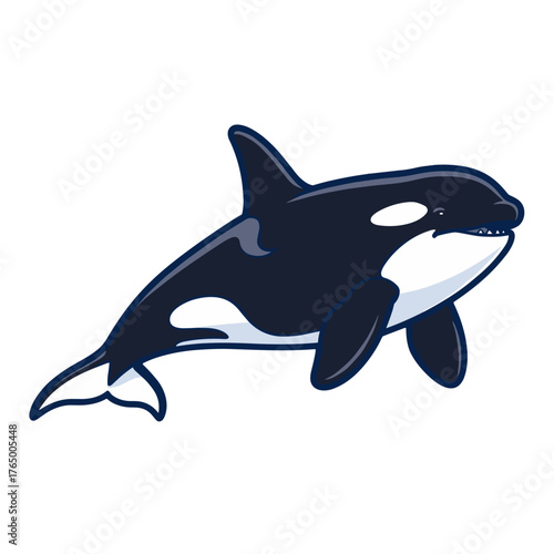 Orca