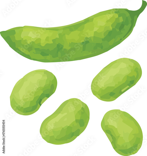 Vector realistic watercolor illustration of cute childish green beans