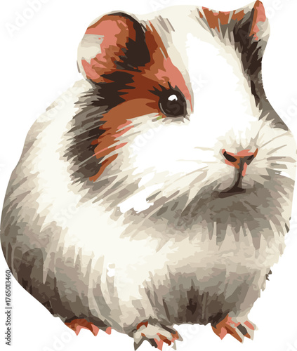 Vector watercolor illustration of guinea pig