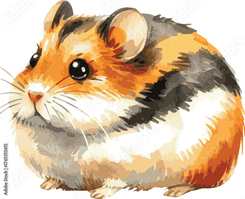 Vector watercolor illustration of a hamster