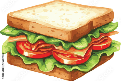Vector watercolor painted illustration of a sandwich