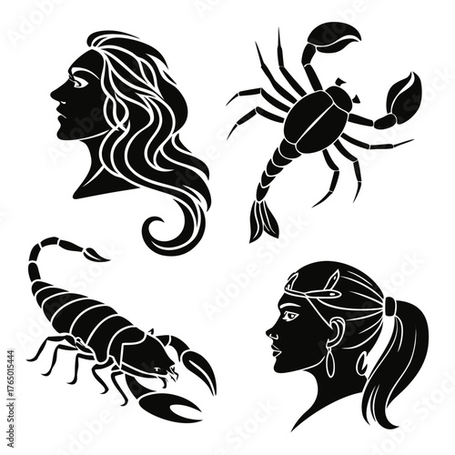 Collection of zodiac signs in vector format