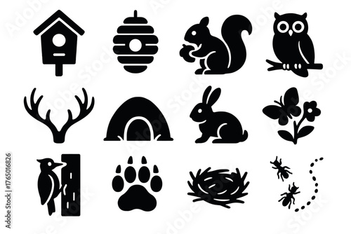 Forest Wildlife Icons. Solid style icons of Forest wildlife habitat: birdhouse, beehive, squirrel with nut, owl on branch, deer