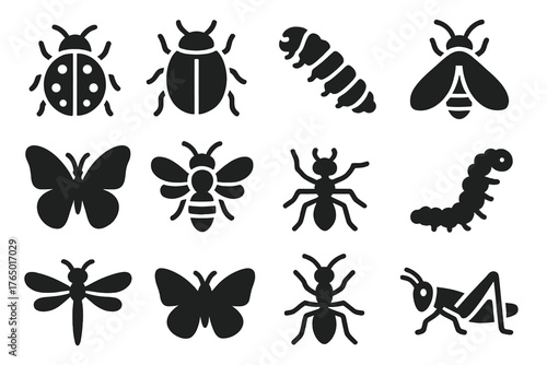 Insect Icons Collection. Solid style icons of Ladybugs and insects: ladybug, beetle, beetle larva, firefly, butterfly, bee, ant,