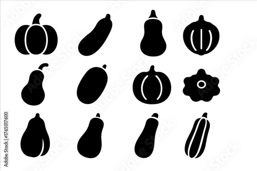 Squash Variety Icons. Solid style icons of Squash family: pumpkin, zucchini, butternut squash, acorn squash, gourd, spaghetti