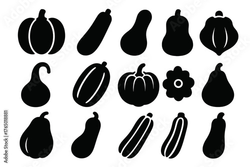 Squash Variety Icons. Solid style icons of Squash family: pumpkin, zucchini, butternut squash, acorn squash, gourd, spaghetti
