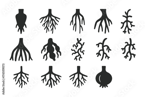 Root Type Icons. Solid style icons of Root Types: taproot, fibrous root, adventitious root, aerial root, buttress root, prop root,