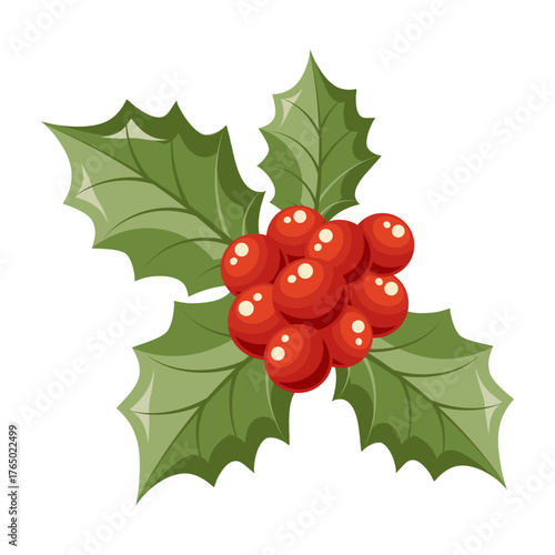 Christmas holly berries with green leaves. Holiday illustration.
