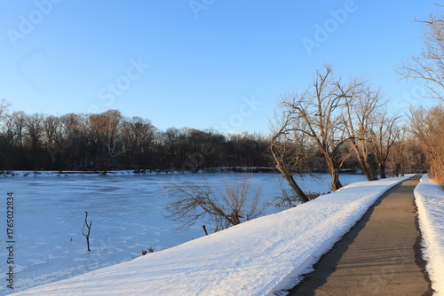 Winter Road through Snowy Landscape with Bare Trees and Blue Sky