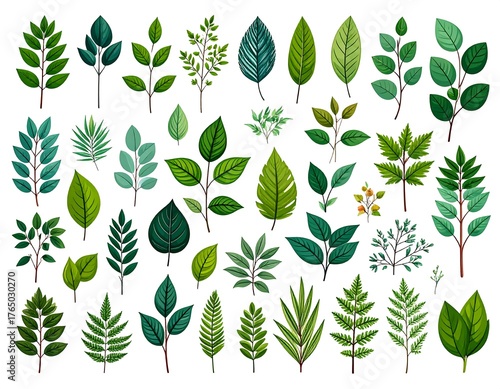 A collection of various stylized green leaves and branches on a white backdrop