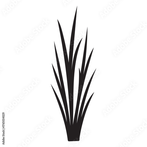 Lemongrass Plant – Silhouette Vector for Spa & Therapy Use