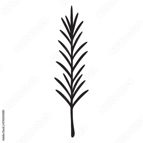 Rosemary – Silhouette Illustration for Organic Skincare Label