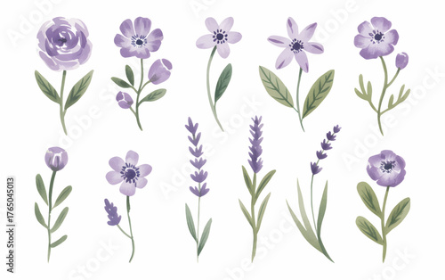 Soft lavender floral watercolor illustration. Hand painted lilac flower collection on white background.