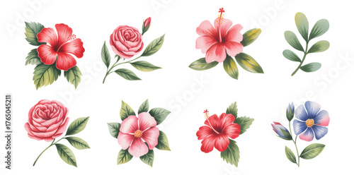 Tropical hibiscus and pink rose watercolor collection. Watercolor hibiscus and rose bloom illustration.
