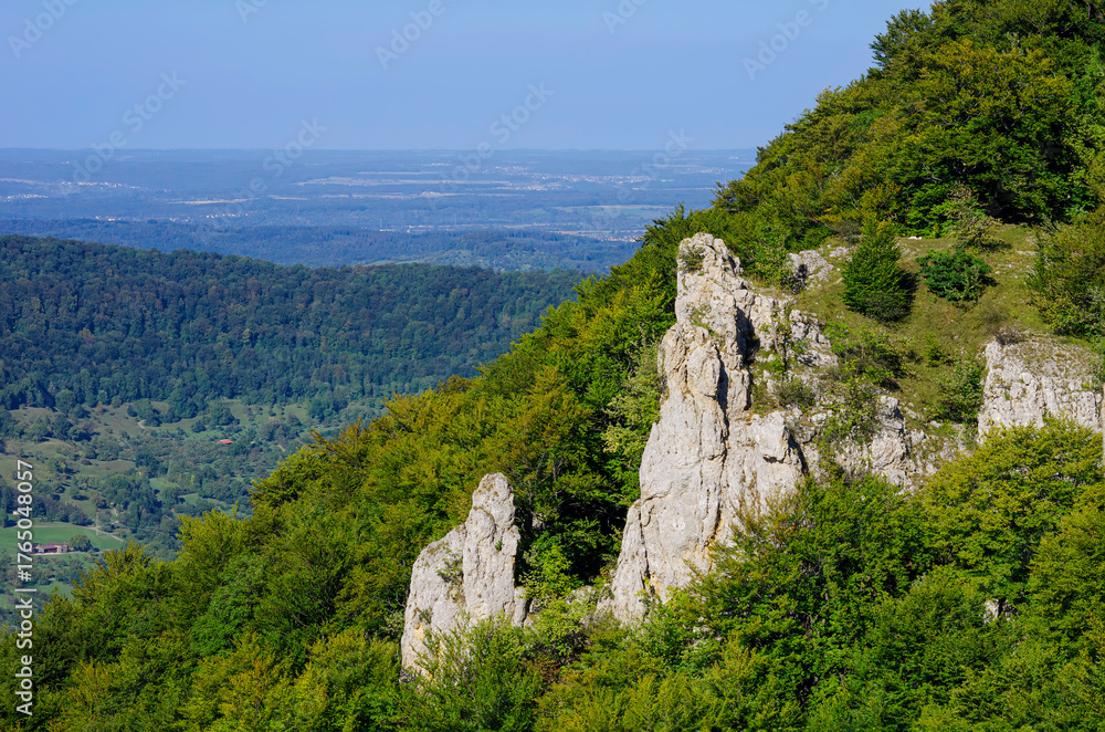 Fototapeta premium Schwäbische Alb bei Metzingen-Glems, Baden-Württemberg, Deutschland