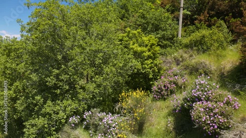 Wyspa Capri - włoska atrakcja turystyczna w Zatoce Neapolitańskiej