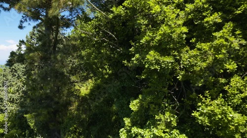 Wyspa Capri - włoska atrakcja turystyczna w Zatoce Neapolitańskiej