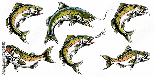 Collection of six dynamic rainbow trout illustrations in various poses for fishing and outdoor themes