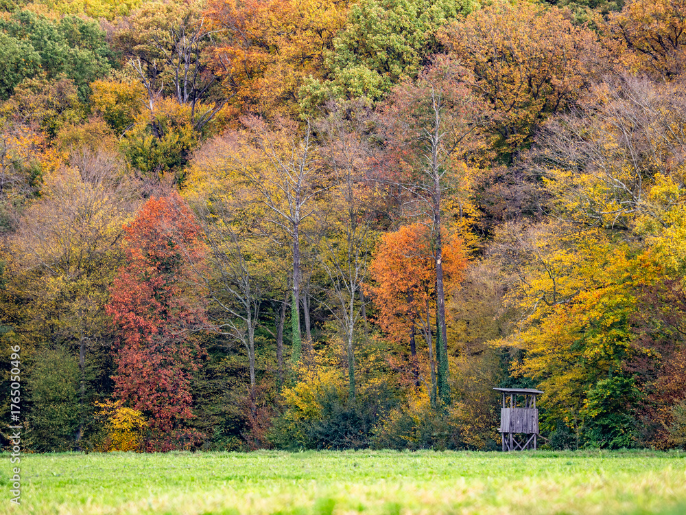 Obraz premium Hoch und Jägersitz im Herbst