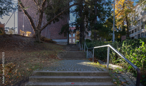 Stairs in the autumn park.