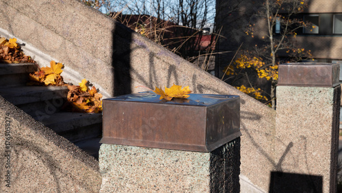 A yellow maple leaf on a concrete stair beam.