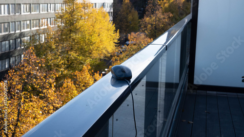 A computer mouse on a balcony railing, with yellow autumn trees below.