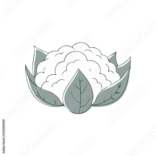 Stylized illustration of a cauliflower vegetable with leaves