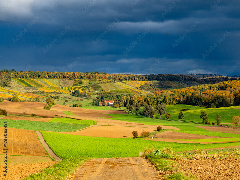 Fototapeta premium Landschaft im Herbst