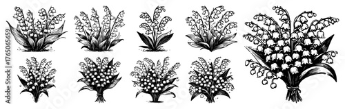 Lily of the valley sprout stages – charming bell bloom progression in delicate ink botanical sketches