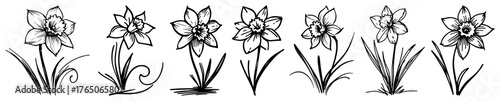 Stylized daffodil stage icons – bold minimal graphics of narcissus blooms in clean monochrome series