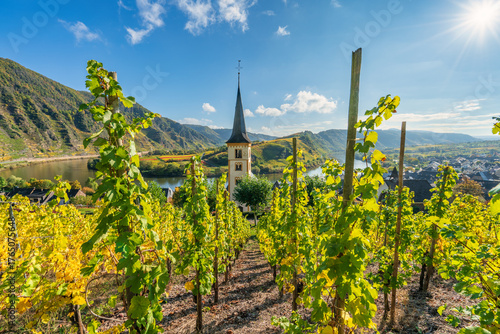 Fototapete Scenic view of Bremm church near moselle river in Germany with vineyards in autu