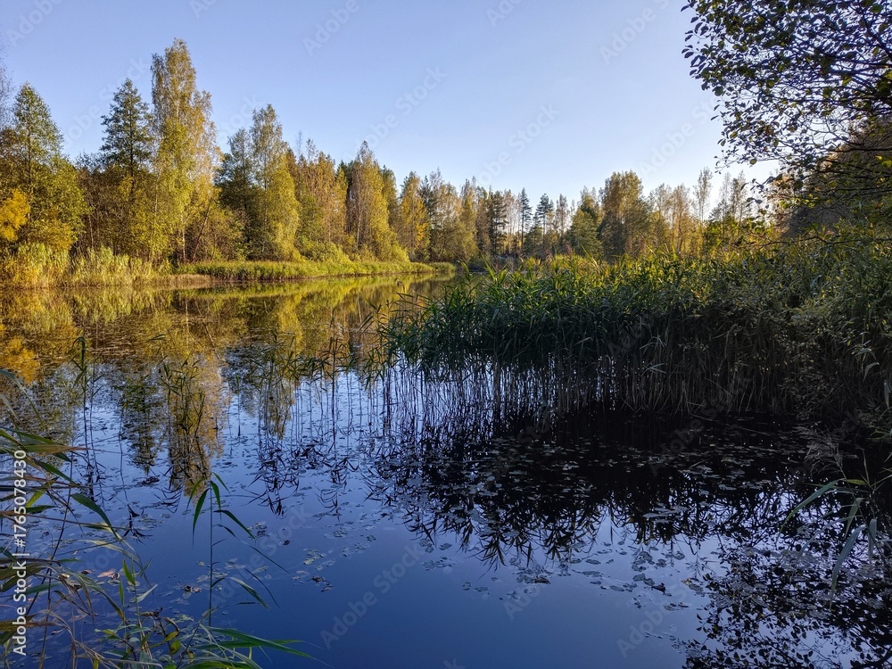 Obraz premium Autumn landscape on the river bank in the forest and blue sky