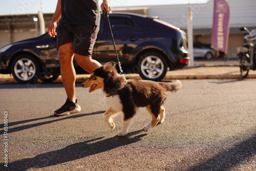 man and dog walking in street