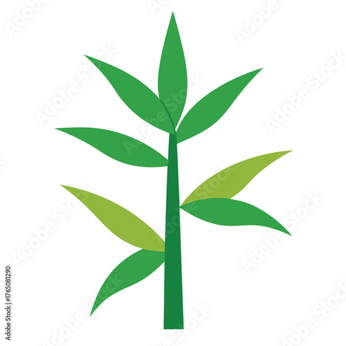 Flat Color Bamboo Foliage Simple Tropical Vector Design